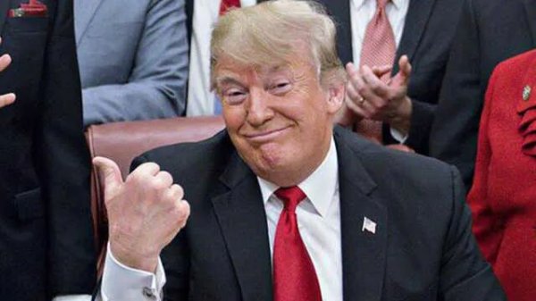 特朗普的儿子们被曝大发战争财