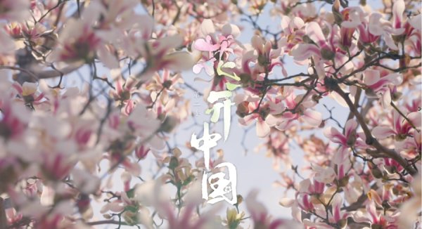 梅花、兰花、荷花、桂花……有8种花将依次盛放荧屏