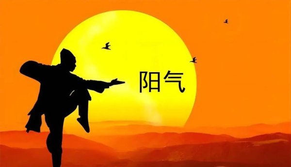 三伏补阳就是在补寿，这个中成药，是高手中的高手，还有其它妙用