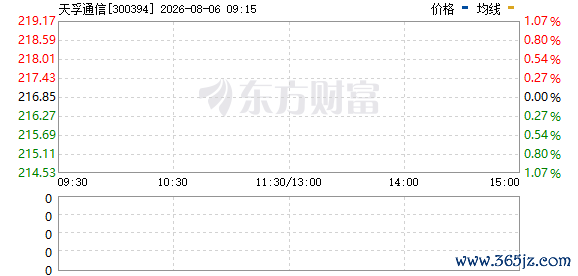 R图 300394_0