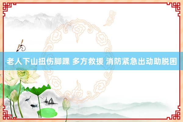 老人下山扭伤脚踝 多方救援 消防紧急出动助脱困