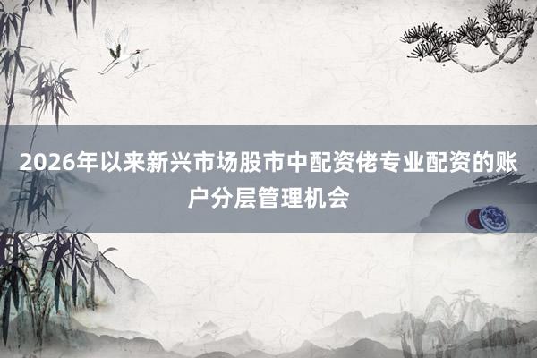 2026年以来新兴市场股市中配资佬专业配资的账户分层管理机会