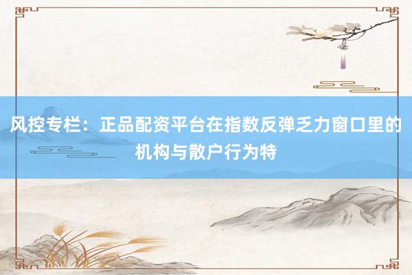 风控专栏：正品配资平台在指数反弹乏力窗口里的机构与散户行为特