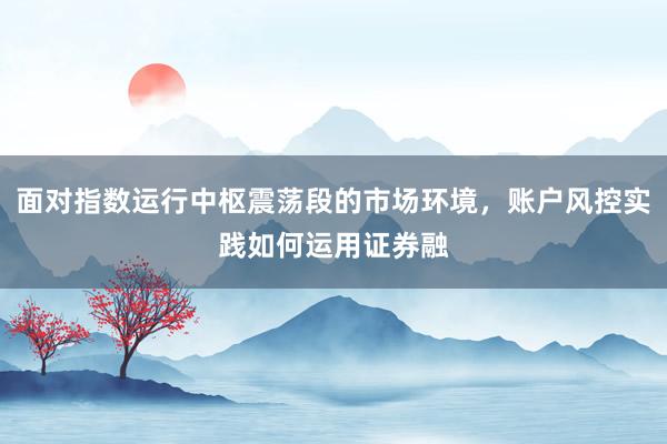 面对指数运行中枢震荡段的市场环境，账户风控实践如何运用证券融