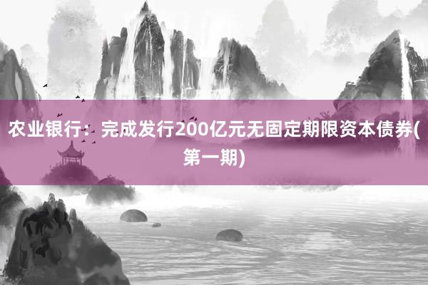 农业银行：完成发行200亿元无固定期限资本债券(第一期)