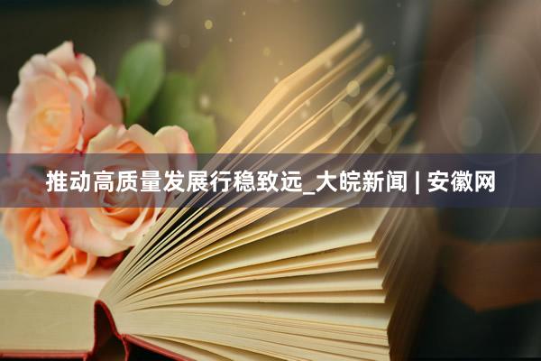 推动高质量发展行稳致远_大皖新闻 | 安徽网
