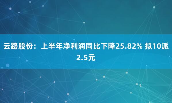 云路股份：上半年净利润同比下降25.82% 拟10派2.5元