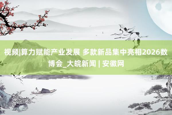 视频|算力赋能产业发展 多款新品集中亮相2026数博会_大皖新闻 | 安徽网