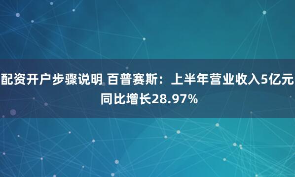 配资开户步骤说明 百普赛斯：上半年营业收入5亿元 同比增长28.97%