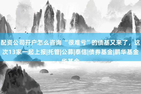 配资公司开户怎么咨询 “很难亏”的债基又来了，这次13家一起上报|托管|公募|泰信|债券基金|鹏华基金
